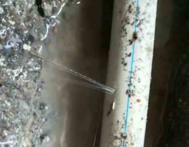 连城测漏水哪家好