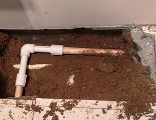 连城测漏水哪家好