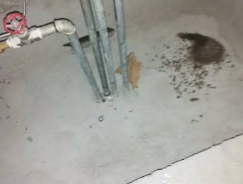 连城卫生间测漏水价格明细