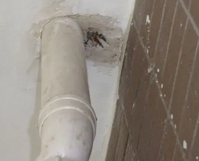 连城漏水检测哪家好